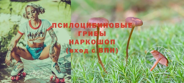 гидропоника Семёнов