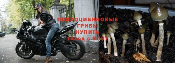 гидропоника Семёнов