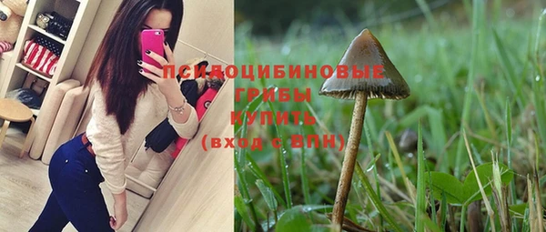 apvp Семилуки