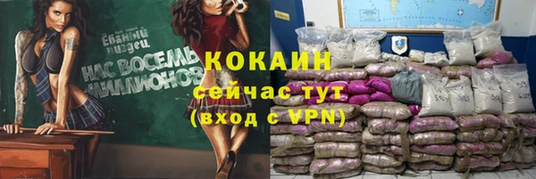 apvp Семилуки