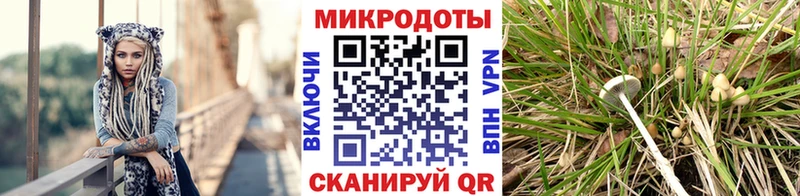 магазин продажи наркотиков  Солнечногорск  Псилоцибиновые грибы ЛСД 
