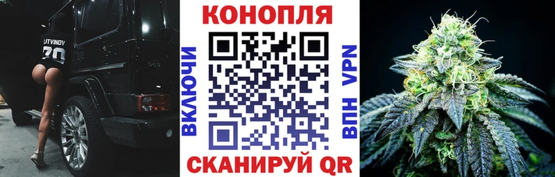 Бошки Шишки план Солнечногорск
